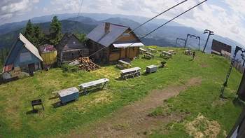 Тростян 20 червня 2019 року, 2019-06-20 10:00