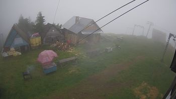 Тростян 22 червня 2019 року, 2019-06-22 16:00