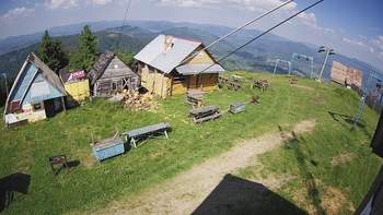 Тростян 26 червня 2019 року, 2019-06-26 16:00