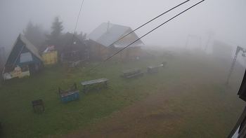 Тростян 29 вересня 2019 року, 2019-09-29 10:00