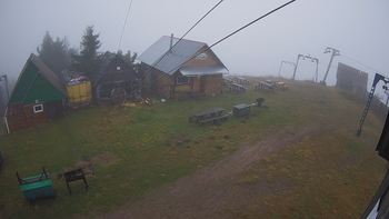 Тростян 8 листопада 2019 року, 2019-11-08 16:00
