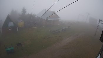Тростян 15 листопада 2019 року, 2019-11-15 13:00