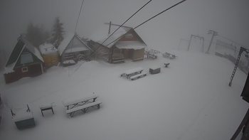 Тростян 13 грудня 2019 року, 2019-12-13 16:00