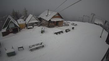 Тростян 15 грудня 2019 року, 2019-12-15 16:00