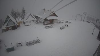 Тростян 28 грудня 2019 року, 2019-12-28 16:00