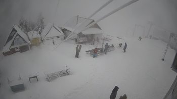 Тростян 29 грудня 2019 року, 2019-12-29 13:00