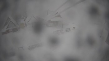Тростян 29 грудня 2019 року, 2019-12-29 16:00