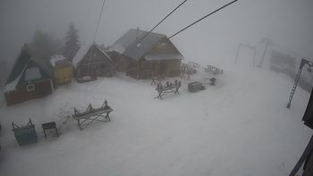 Тростян 28 січня 2020 року, 2020-01-28 13:00