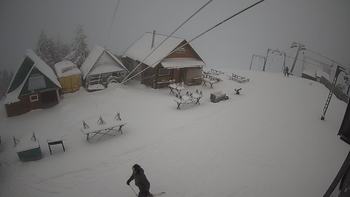 Тростян 29 січня 2020 року, 2020-01-29 16:00
