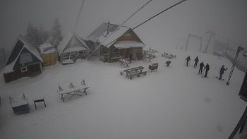 Тростян 31 січня 2020 року, 2020-01-31 13:00