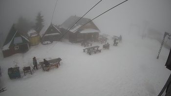 Тростян 1 лютого 2020 року, 2020-02-01 13:00