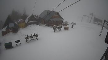 Тростян 11 березня 2020 року, 2020-03-11 16:00