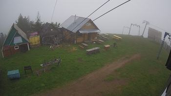 Тростян 4 червня 2020 року, 2020-06-04 10:00