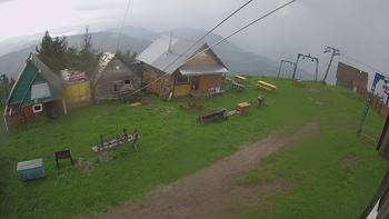 Тростян 13 червня 2020 року, 2020-06-13 16:00