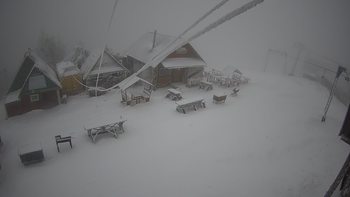 Тростян 23 грудня 2020 року, 2020-12-23 16:00