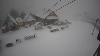 Тростян 29 грудня 2020 року, 2020-12-29 16:00