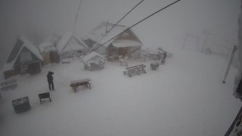 Тростян 20 січня 2021 року, 2021-01-20 16:00