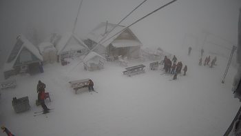 Тростян 21 січня 2021 року, 2021-01-21 10:00