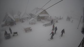 Тростян 22 січня 2021 року, 2021-01-22 10:00