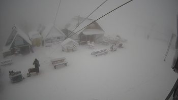 Тростян 22 січня 2021 року, 2021-01-22 13:00