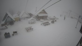 Тростян 29 січня 2021 року, 2021-01-29 10:00