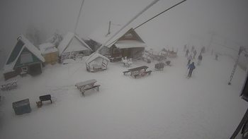 Тростян 29 січня 2021 року, 2021-01-29 16:00