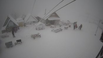 Тростян 30 січня 2021 року, 2021-01-30 16:00