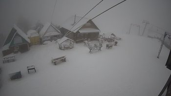 Тростян 9 лютого 2021 року, 2021-02-09 16:00