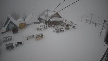 Тростян 17 лютого 2021 року, 2021-02-17 16:00
