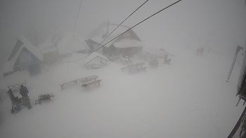 Тростян 18 лютого 2021 року, 2021-02-18 10:00