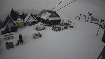 Тростян 8 березня 2021 року, 2021-03-08 13:00