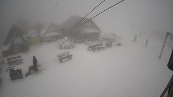 Тростян 14 березня 2021 року, 2021-03-14 13:00