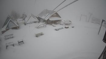 Тростян 17 березня 2021 року, 2021-03-17 13:00