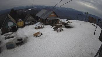 Тростян 3 квітня 2021 року, 2021-04-03 10:00