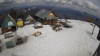Тростян 3 квітня 2021 року, 2021-04-03 13:00