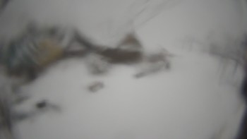 Тростян 14 квітня 2021 року, 2021-04-14 10:00