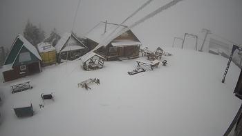 Тростян 16 квітня 2021 року, 2021-04-16 10:00