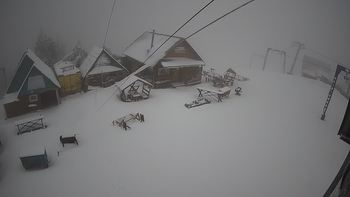 Тростян 17 квітня 2021 року, 2021-04-17 10:00