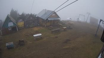 Тростян 7 травня 2021 року, 2021-05-07 16:00