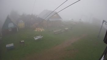 Тростян 15 червня 2021 року, 2021-06-15 10:00