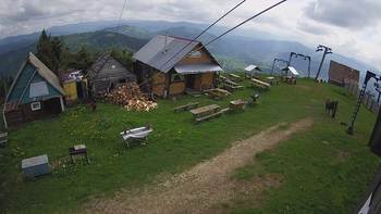 Тростян 19 червня 2021 року, 2021-06-19 10:00