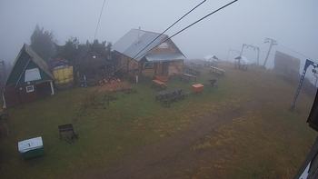 Тростян 3 листопада 2021 року, 2021-11-03 16:00