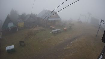 Тростян 18 листопада 2021 року, 2021-11-18 10:00