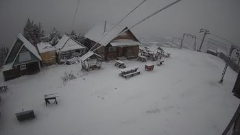 Тростян 30 листопада 2021 року, 2021-11-30 16:00