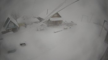 Тростян 7 грудня 2021 року, 2021-12-07 10:00