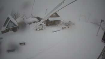 Тростян 7 грудня 2021 року, 2021-12-07 13:00