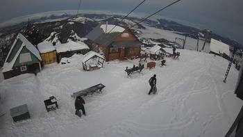 Тростян 11 грудня 2021 року, 2021-12-11 16:00