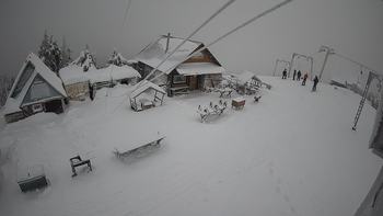 Тростян 13 грудня 2021 року, 2021-12-13 10:00
