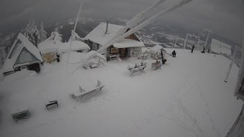 Тростян 22 грудня 2021 року, 2021-12-22 16:00