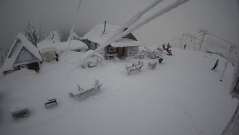 Тростян 23 грудня 2021 року, 2021-12-23 10:00